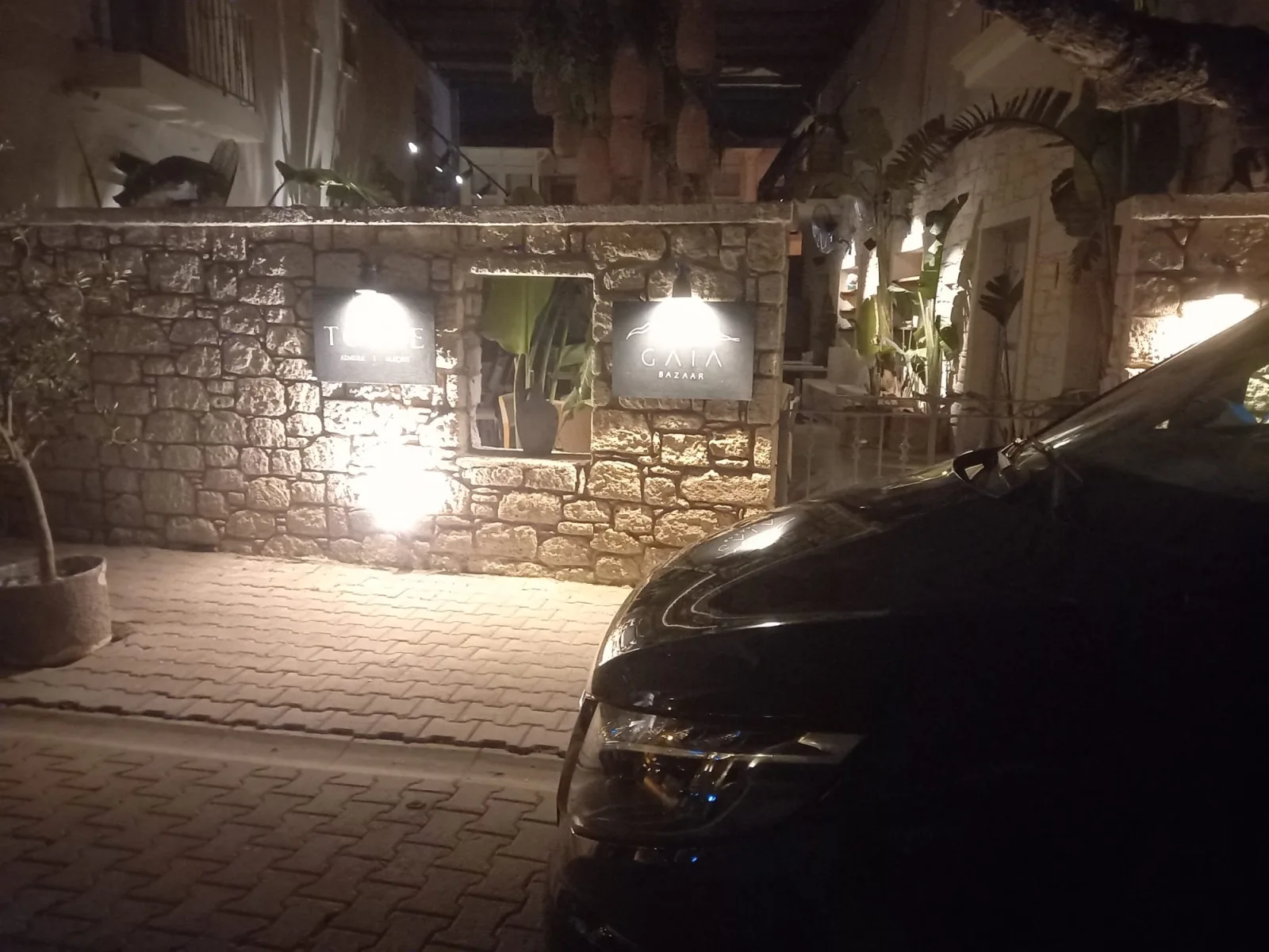 Güzelbahçe manzarası — İzmir Adnan Menderes Havalimanından Mercedes-Vito ile VIP transfer